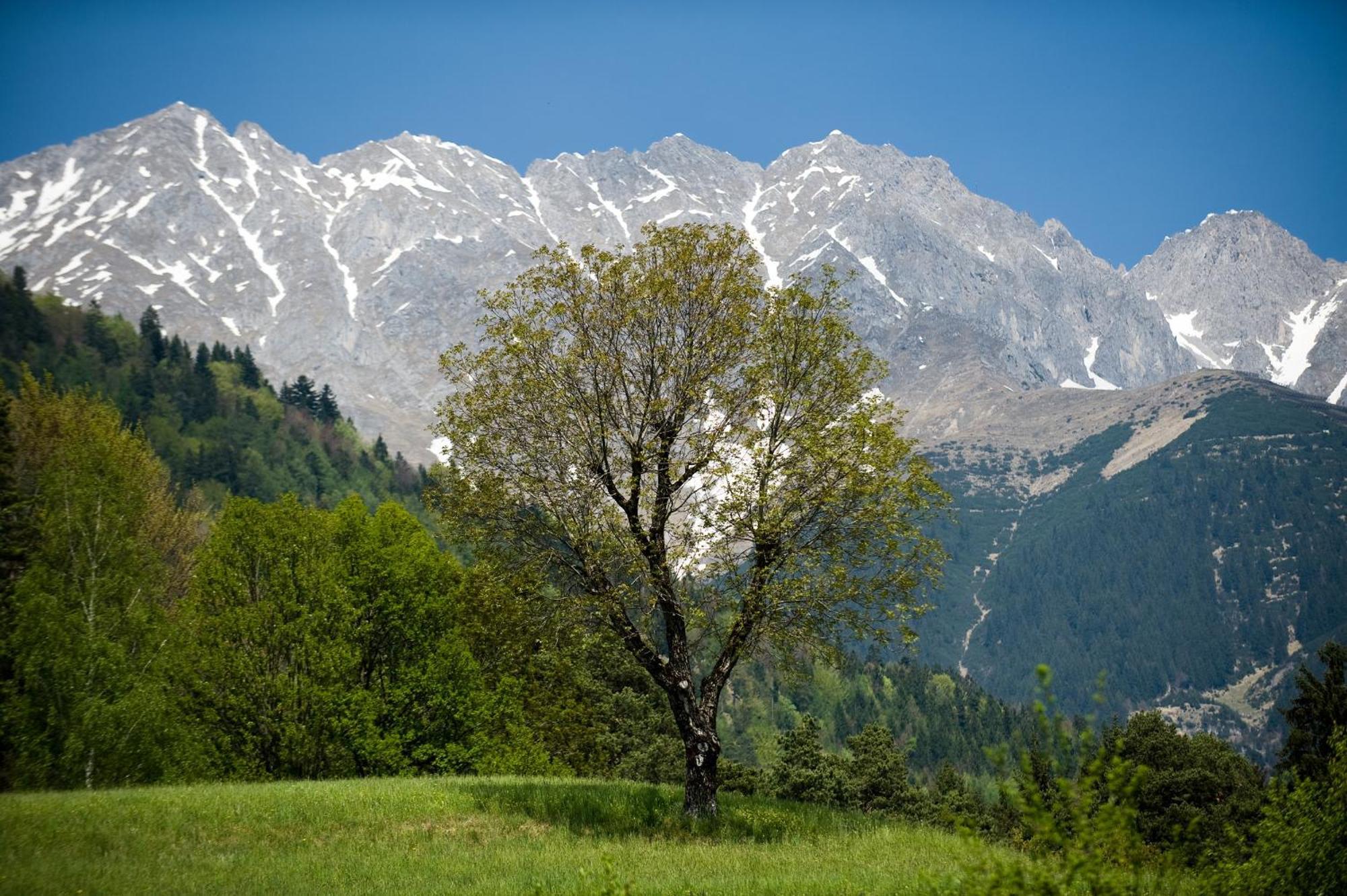 Kasperhof Apartments Innsbruck Top 6 - 7 Екстер'єр фото