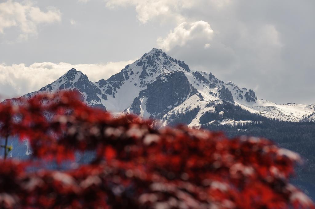 Kasperhof Apartments Innsbruck Top 6 - 7 Екстер'єр фото